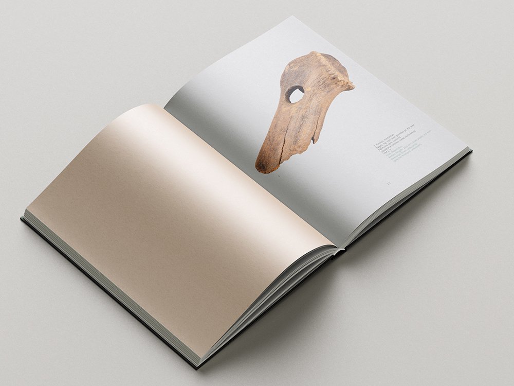 Open archaeology catalogue showing a large photograph of a brown archaeological fragment with a circular opening on the right-hand page, accompanied by a small catalogue description.