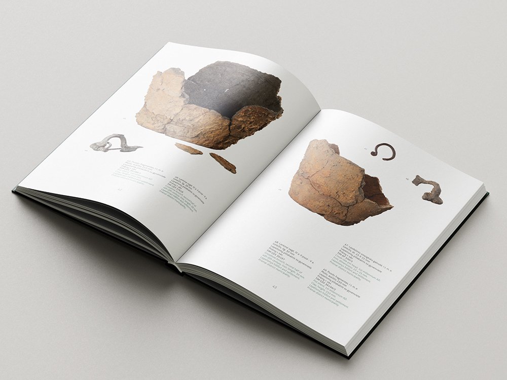 Open archaeology catalogue displaying several excavated fragments, including large brown ceramic or metal pieces and smaller curved objects, with catalogue descriptions beneath them.